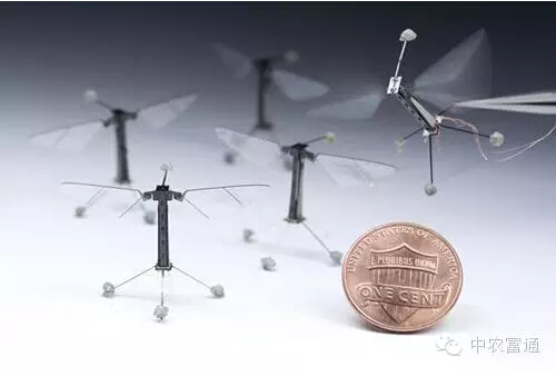 1447235755106452.jpg 10.jpg