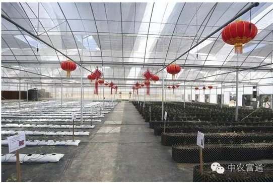 1467369362465130.png blob.png