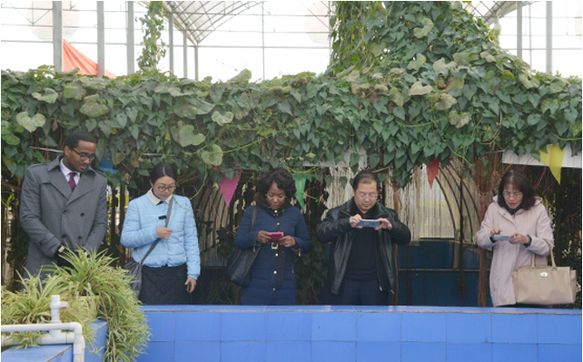 1478669787829910.png blob.png