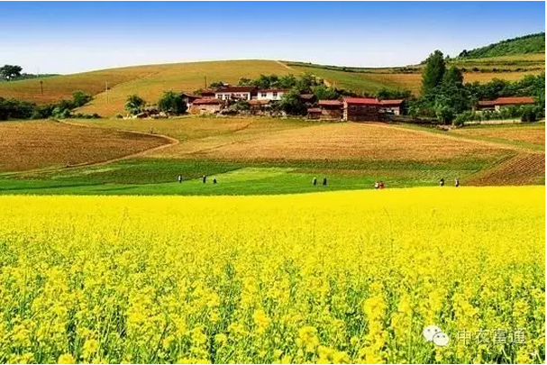 1479366667104416.png blob.png