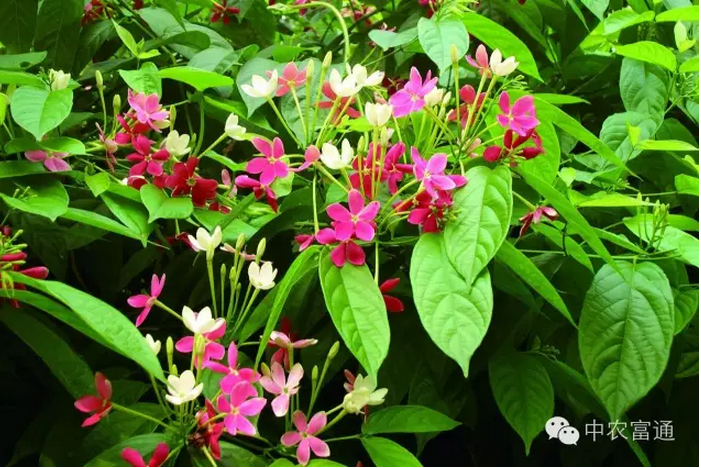 1479712708286247.png blob.png