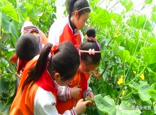 國家大力支持發(fā)展的“田園綜合體”是什么？怎么搞？(圖7)