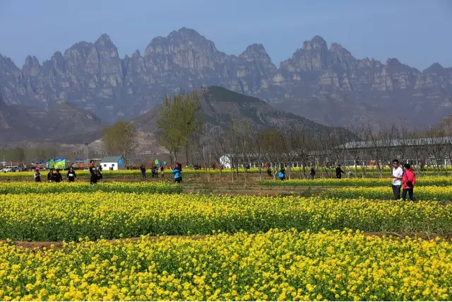 1492052768654814.png blob.png