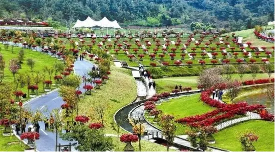 1492053254131522.png blob.png