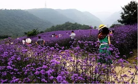 1492053401600465.png blob.png