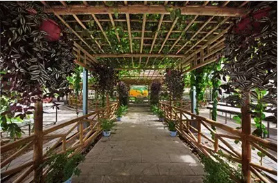 1492053127105858.png blob.png