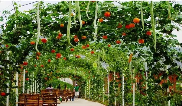 1492053535416547.png blob.png