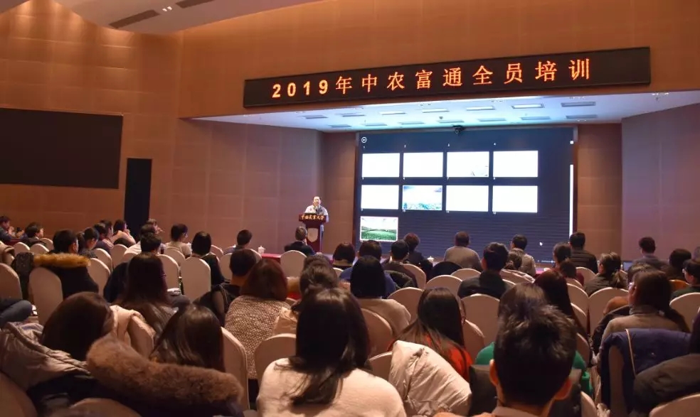 1550023853269981.jpg 1550023853269981.jpg