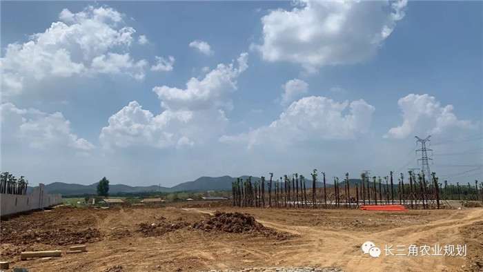 為了幫助園區(qū)的提檔升級(jí)，南京市農(nóng)業(yè)農(nóng)村局特委托中農(nóng)富通編制《南京市農(nóng)業(yè)園區(qū)發(fā)展研究報(bào)告》，以期從產(chǎn)業(yè)發(fā)展路徑、園區(qū)發(fā)展模式、保障措施等多維度為南京市農(nóng)業(yè)園區(qū)未來(lái)三年的發(fā)展做統(tǒng)籌謀劃。 8月19日，中農(nóng)(圖11)