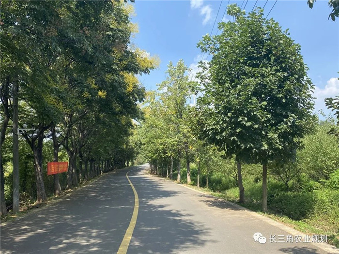 為了幫助園區(qū)的提檔升級(jí)，南京市農(nóng)業(yè)農(nóng)村局特委托中農(nóng)富通編制《南京市農(nóng)業(yè)園區(qū)發(fā)展研究報(bào)告》，以期從產(chǎn)業(yè)發(fā)展路徑、園區(qū)發(fā)展模式、保障措施等多維度為南京市農(nóng)業(yè)園區(qū)未來(lái)三年的發(fā)展做統(tǒng)籌謀劃。 8月19日，中農(nóng)(圖8)