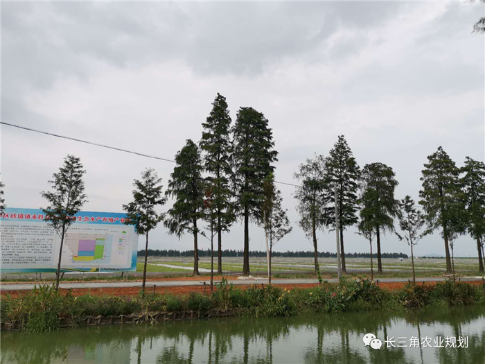 9月1日，中農富通團隊開啟了高淳區(qū)域內現(xiàn)代農業(yè)示范園的調研工作，此次高淳區(qū)農業(yè)園區(qū)調研由中農富通長三角農業(yè)規(guī)劃科學研究所所長薛欣艷與中國農業(yè)大學規(guī)劃研究所園區(qū)規(guī)劃部分管總工趙嬋璞帶隊。(圖8)