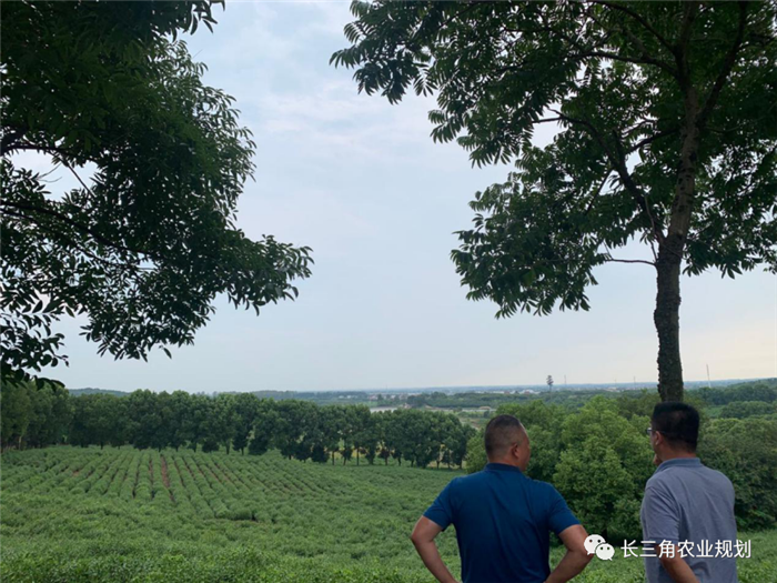 9月1日，中農富通團隊開啟了高淳區(qū)域內現(xiàn)代農業(yè)示范園的調研工作，此次高淳區(qū)農業(yè)園區(qū)調研由中農富通長三角農業(yè)規(guī)劃科學研究所所長薛欣艷與中國農業(yè)大學規(guī)劃研究所園區(qū)規(guī)劃部分管總工趙嬋璞帶隊。(圖13)