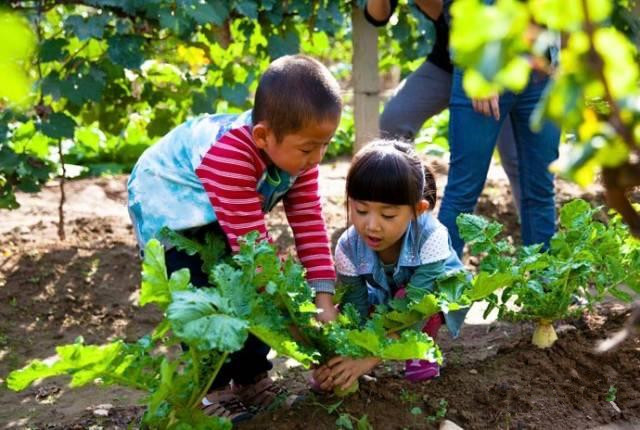 undefined 5852049457.jpg