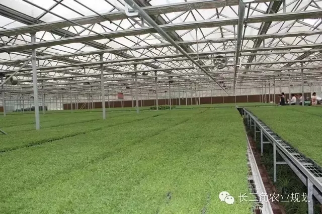 undefined 640.webp (3).jpg