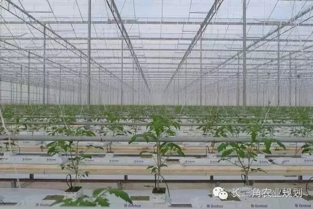 undefined 640.webp (4).jpg