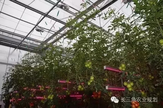 undefined 640.webp (5).jpg