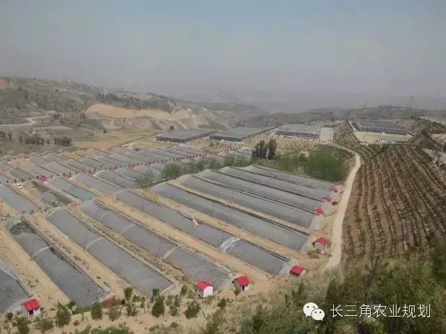 undefined 640.webp (8).jpg