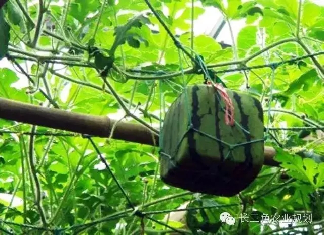 undefined 640.webp (7).jpg