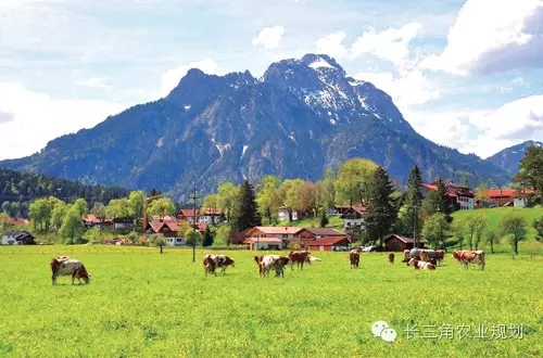 undefined 640.webp (12).jpg