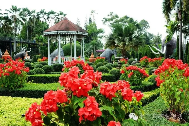 undefined 640.webp (16).jpg