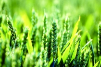 undefined zy1477905446972.jpg