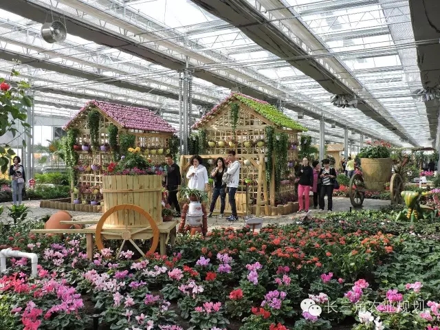 undefined 640.webp (5).jpg