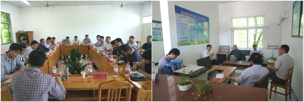 政府座談會(huì) (3)yyy.jpg