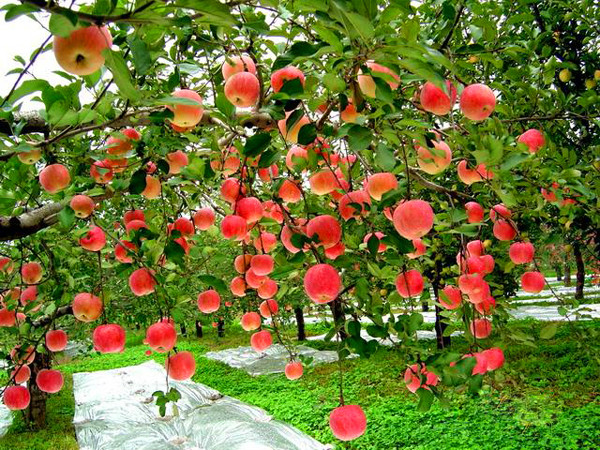 undefined 13741296731841ndlbs.jpg