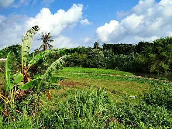 undefined weixintupian_20170519162950.jpg