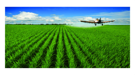 undefined 11770295_1338078391579_0_1024x1024it.jpg