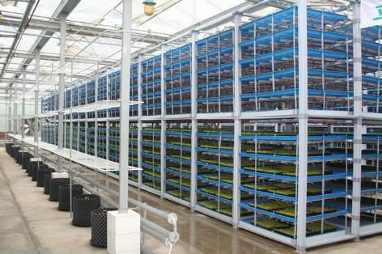 undefined logo_1.jpg