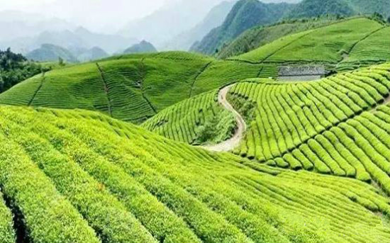 undefined weixintupian_20170523135140_meitu_1.jpg