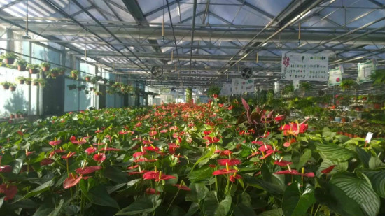 undefined 3_meitu_2.jpg