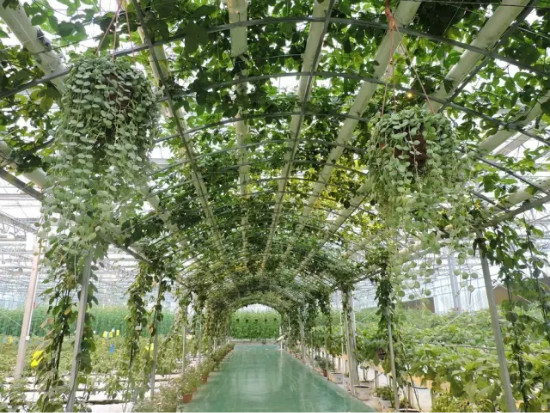 undefined 640_84p.jpg