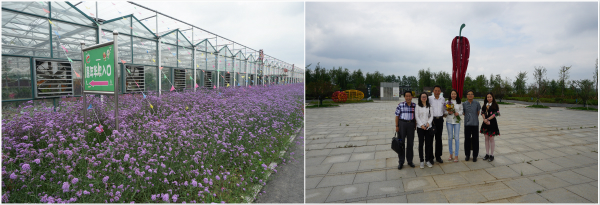 和縣初期匯報(bào)調(diào)研圖片20170606 (8)_meitu_2.jpg