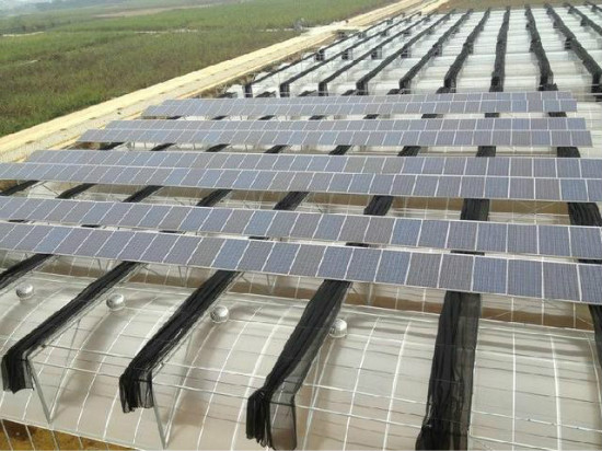 undefined guangfuriguangwenshi.jpg