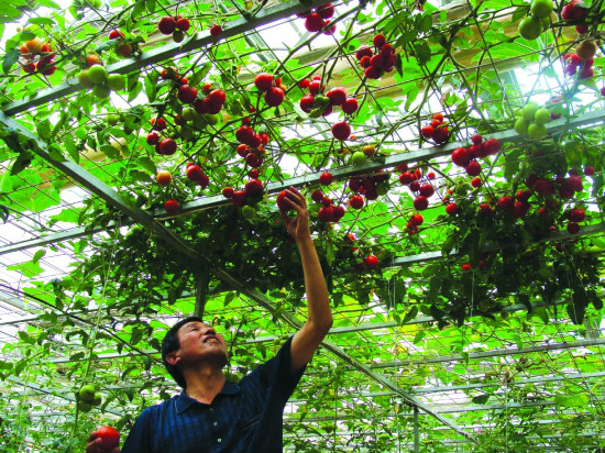 undefined kongzhongzaipei.jpg