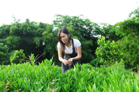 undefined chengmainongjia1.jpg