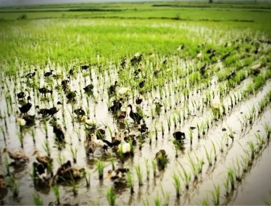 undefined 640_w4z.jpg