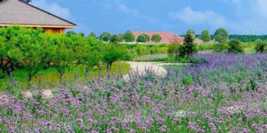 undefined 001R4oA7gy6QQayLhIl69&690.jpg