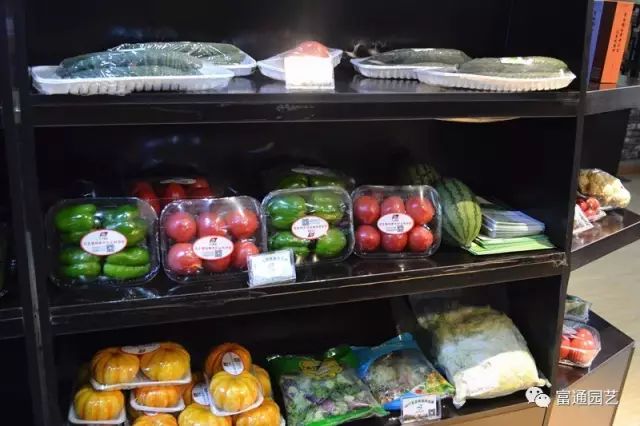 浙江鄉(xiāng)村旅游規(guī)劃 微信3.jpg