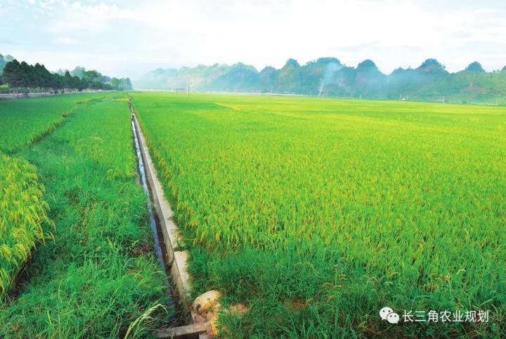 浙江鄉(xiāng)村旅游規(guī)劃 微信圖片1.jpg