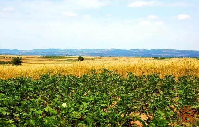 浙江生態(tài)農(nóng)業(yè)規(guī)劃 微信圖片1.jpg