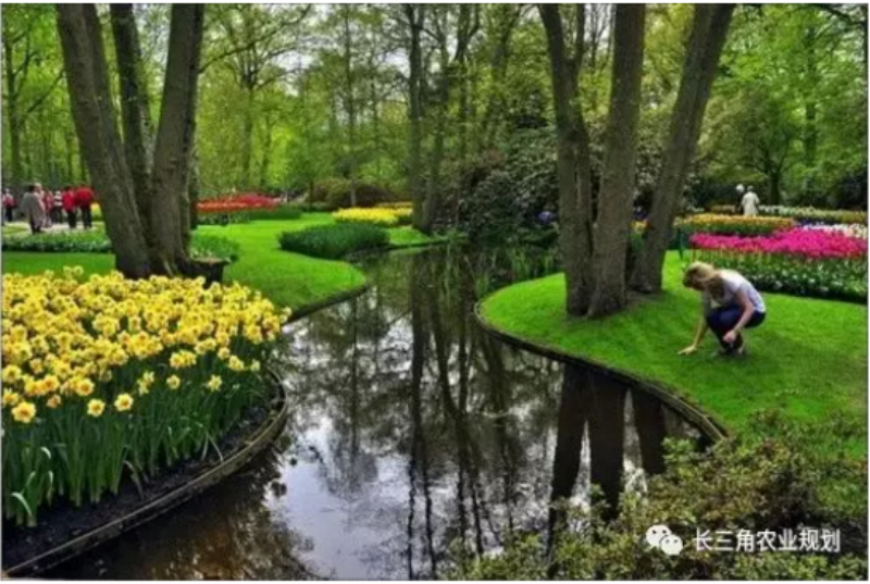 浙江田園綜合體規(guī)劃 QQ截圖20180309130737.png