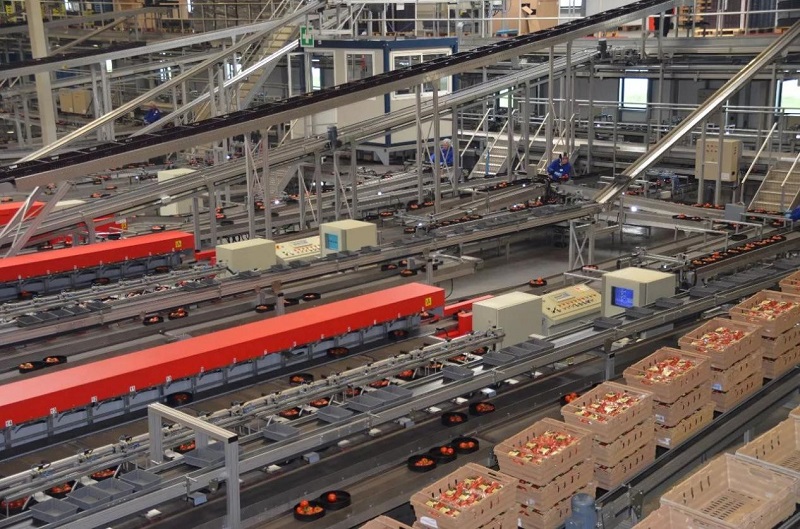 南和現(xiàn)代設(shè)施農(nóng)業(yè)產(chǎn)業(yè)集群(圖1) 3.jpg