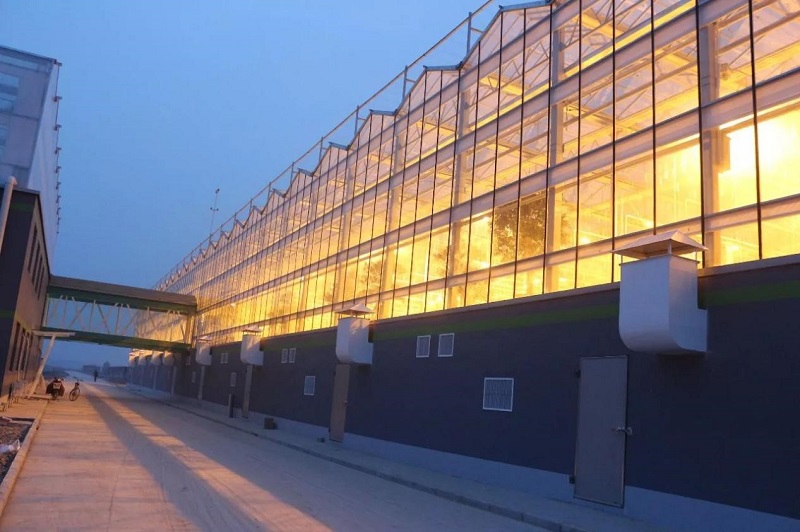 南和現(xiàn)代設(shè)施農(nóng)業(yè)產(chǎn)業(yè)集群(圖3) 4.jpg