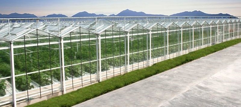 南和現(xiàn)代設(shè)施農(nóng)業(yè)產(chǎn)業(yè)集群(圖2) 2.jpg