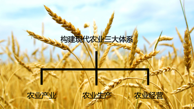 浙江鄉(xiāng)村旅游規(guī)劃 默認(rèn)標(biāo)題_自定義px_2018.04.25.jpg