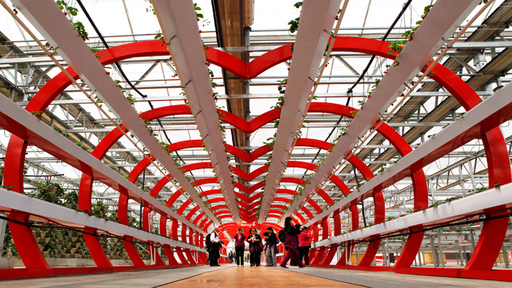 北京農(nóng)業(yè)嘉年華(圖5) 0130126306.jpg