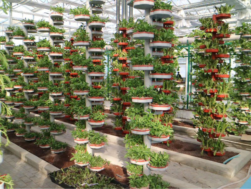 南和農(nóng)業(yè)嘉年華(圖4) 3kejizaipei.jpg